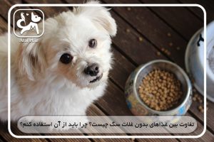 غذاهای بدون غلات سگ