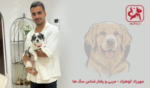 مهرزاد کوهزاد بهترین مربی سگ در ایران